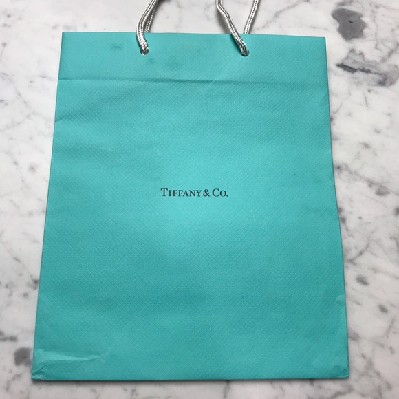 Tiffany & Co. Decorative Gift Bag Closet Decor - Picture 3 of 6